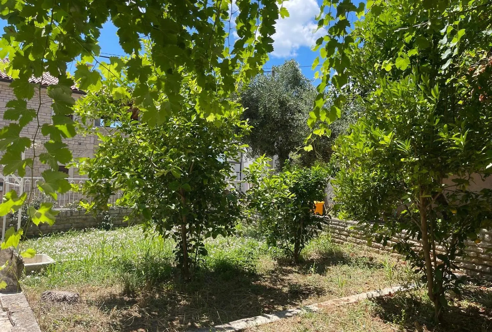 Villa Giulia Ližnjan